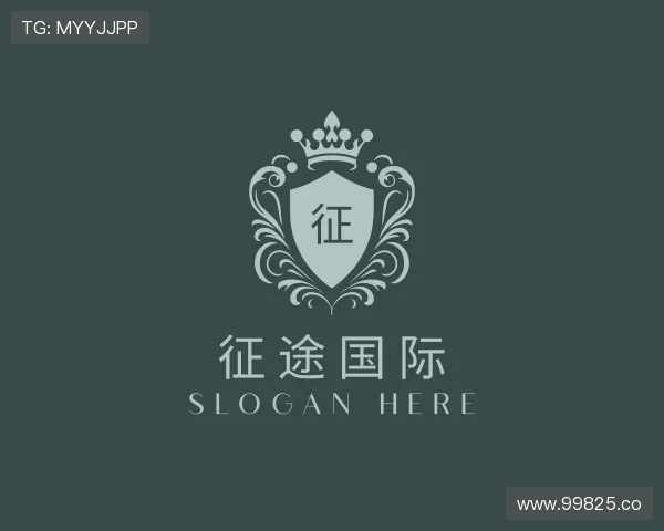 认识征途国际